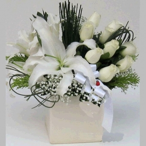 Beyaz Çiçekler