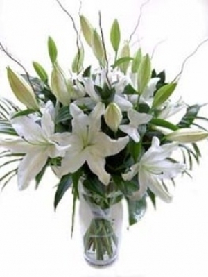 Perilerin Işıltısı Aranjmanı